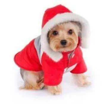 Stylish Alexis Dog Parka for Maximum Comfort and Warmth