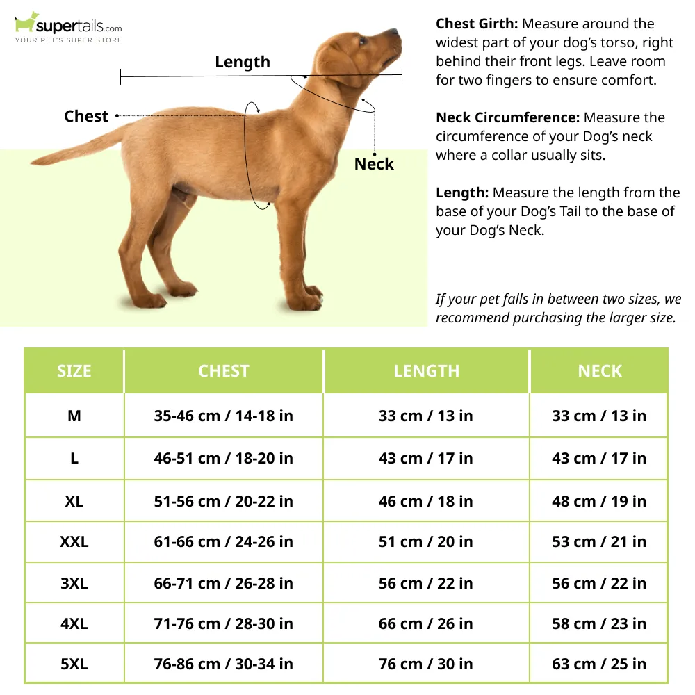 Mutt of Course Raincoat For Dogs (Blue)